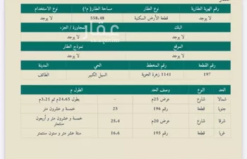 أرض للبيع في حي الرحبة, مدينة امارة منطقة مكة المكرمة - الطائف, منطقة مكة المكرمة صورة 5