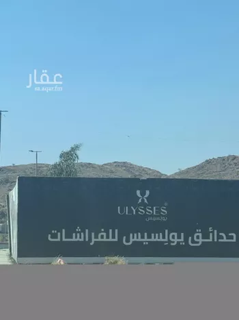 أرض للبيع في شارع الكدى 21, حي الكدى, مدينة امارة منطقة مكة المكرمة - الطائف, منطقة مكة المكرمة صورة 4