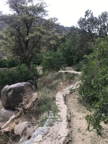 أرض للبيع في طريق الشفاء ، حي الشفا ، الطائف ، الطائف صورة 4