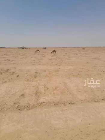 أرض للبيع في شارع محير الترمس, حي محير الترمس, مدينة محير الترمس, منطقة القصيم صورة 3
