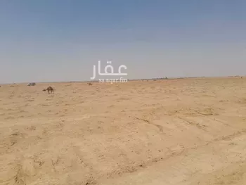 أرض للبيع في شارع محير الترمس, حي محير الترمس, مدينة محير الترمس, منطقة القصيم صورة 4