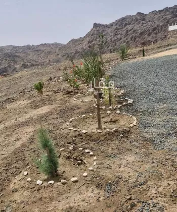 استراحة للبيع في شارع محب الدين السعدي ، حي السد ، خميس مشيط ، خميس مشيط صورة 4