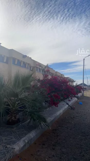 شاليه واستراحة للحجز في شارع ابار الماشي, المدينة المنورة صورة 3