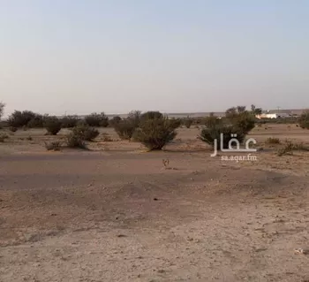 مزرعة للبيع في حي الساحبه ومزارعها, مدينة الساحبه ومزارعها, منطقة الرياض صورة 4