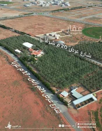 مزرعة للبيع في شارع عام, حي القدس, مدينة رياض الخبراء, منطقة القصيم صورة 5