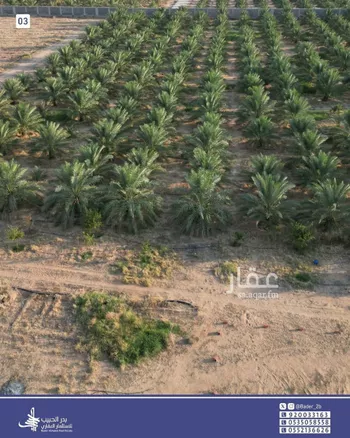 استراحة للبيع في شارع عام , حي الربوة, مدينة البكيريه, منطقة القصيم صورة 5