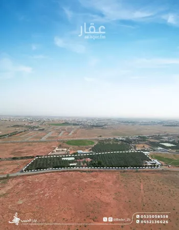 مزرعة للبيع في شارع عام, حي القدس, مدينة رياض الخبراء, منطقة القصيم صورة 4