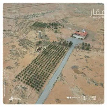 مزرعة للبيع في شارع عام, مدينة فيضه بن حميد, منطقة القصيم صورة 3