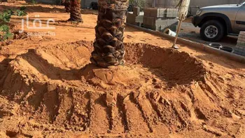 مزرعة للبيع في شارع لا يوجد, حي هجره الذيبيه وخضراء, مدينة هجره الذيبيه وخضراء, منطقة الرياض صورة 3