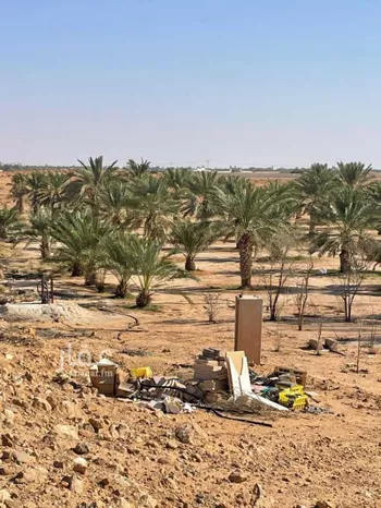 مزرعة للبيع في حي مزارع الثغيب وروضة جوي, مدينة المجمعه, منطقة الرياض صورة 2