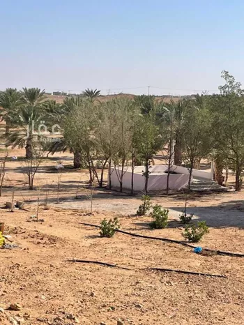 مزرعة للبيع في حي مزارع الثغيب وروضة جوي, مدينة المجمعه, منطقة الرياض صورة 3