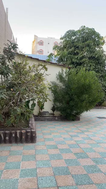 عمارة للبيع في شارع ابن محمود العماد ، حي الحلقة الغربية ، الطائف ، الطائف