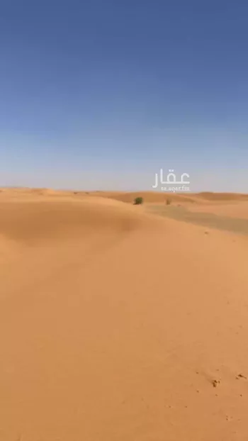 مزرعة للبيع في شارع رغبه 1, حي مخطط الاراض البيضاء1, مدينة ثادق, منطقة الرياض