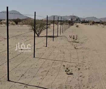 مزرعة للبيع في حي سايلة غزال, مدينة الحصينية, منطقة نجران
