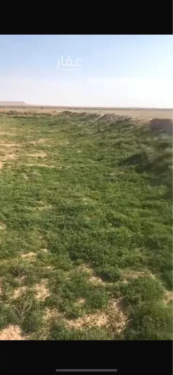 أرض للبيع في الداهنة ، شقراء صورة 3