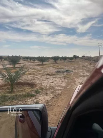 مزرعة للبيع في شارع مزرعه, حي مزارع الداهنه (القويطير الادني), مدينة مزارع الداهنه (القويطير الادني), منطقة الرياض صورة 5