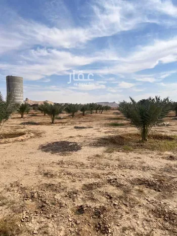 مزرعة للبيع في شارع مزرعه, حي مزارع الداهنه (القويطير الادني), مدينة مزارع الداهنه (القويطير الادني), منطقة الرياض صورة 4