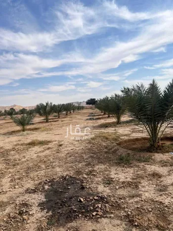 مزرعة للبيع في شارع مزرعه, حي مزارع الداهنه (القويطير الادني), مدينة مزارع الداهنه (القويطير الادني), منطقة الرياض صورة 3