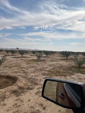 مزرعة للبيع في شارع مزرعه, حي مزارع الداهنه (القويطير الادني), مدينة مزارع الداهنه (القويطير الادني), منطقة الرياض صورة 2