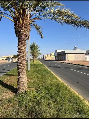 أرض للبيع في شارع عمرو ابن ابي وقاص, حي منيفة القاعد, مدينة منيفة القاعد, منطقة حائل
