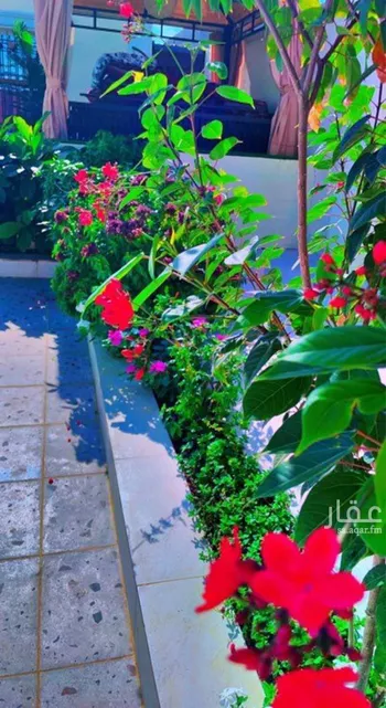 شاليه واستراحة للحجز في شارع الرهجانيه 43 ، شداد ، منطقة مكة المكرمة صورة 5