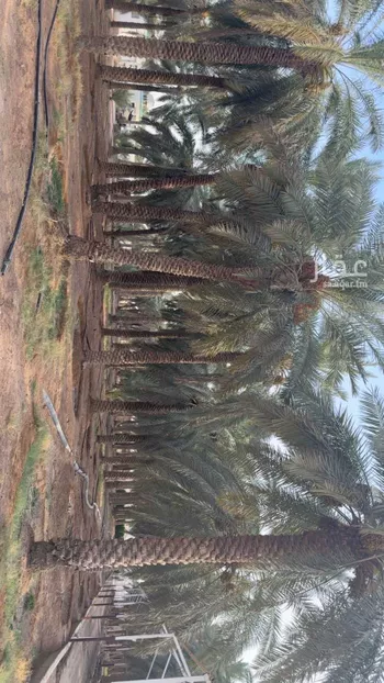 مزرعة للبيع في شارع الخرج الجديد, مدينة الخرج, منطقة الرياض صورة 5