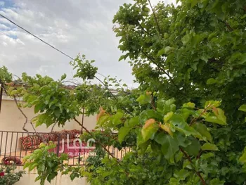 شاليه واستراحة للحجز في شارع الخبيرة ، حي الفلاح ، بني كبير ، بلجرشي صورة 5