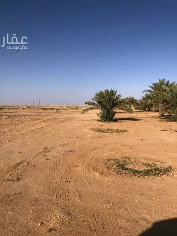 أرض للإيجار في شارع الرياض سدير القصيم القديم, دقلة صورة 2