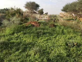 مزرعة للبيع في شارع لا يوجد مسمى, حي الملك فيصل, مدينة جلاجل, منطقة الرياض صورة 5