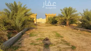 أرض للإيجار في حي دقله, مدينة دقله, منطقة الرياض صورة 3