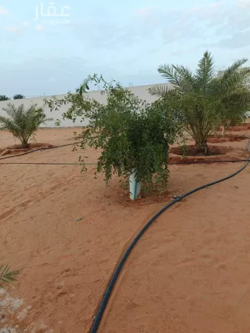 استراحة للبيع في مدينة ضرما, منطقة الرياض صورة 2
