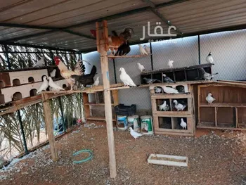 استراحة للبيع في مدينة ضرما, منطقة الرياض صورة 3