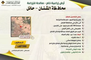 مزرعة للبيع في حي حي غراب, مدينة الحناكية - غراب, منطقة المدينة المنورة صورة 4