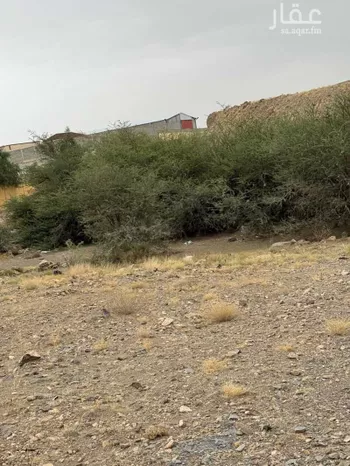أرض للإيجار في شارع ابن البشير ، الفيض ، خميس مشيط صورة 5