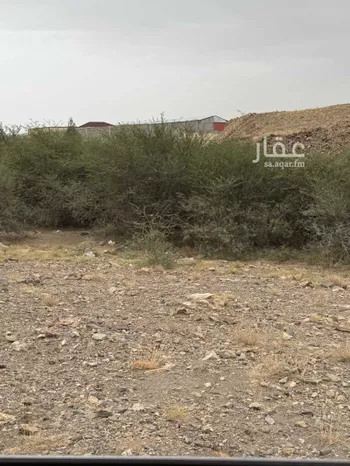 أرض للإيجار في شارع ابن البشير ، الفيض ، خميس مشيط صورة 3