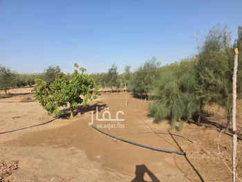 مزرعة للبيع في غران صورة 2