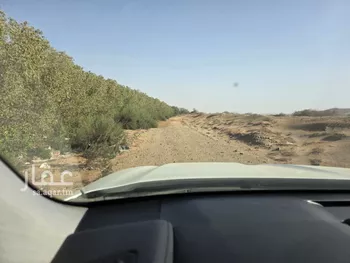 مزرعة للبيع في غران صورة 5