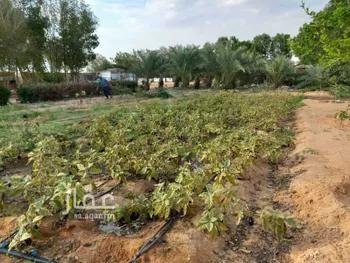 مزرعة للبيع في حي العفجه, مدينة الخرج, منطقة الرياض صورة 5
