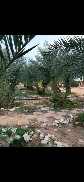 مزرعة للبيع في حي العفجه, مدينة الخرج, منطقة الرياض صورة 2