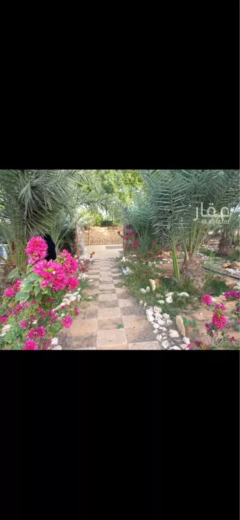 مزرعة للبيع في حي العفجه, مدينة الخرج, منطقة الرياض صورة 3