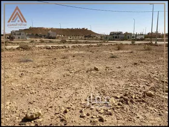 أرض للبيع في شارع 0000, مدينة جلاجل, منطقة الرياض صورة 4