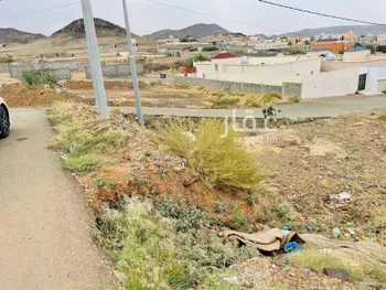أرض للبيع في شارع حميد بن الأعور بن أبي قرة العقيلي, حي الطيبات, مدينة العقيق, منطقة الباحة صورة 4