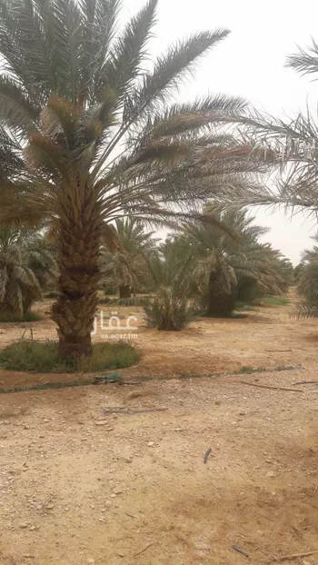 مزرعة للبيع في روضة سدير ، المجمعة صورة 2