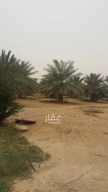 مزرعة للبيع في روضة سدير ، المجمعة