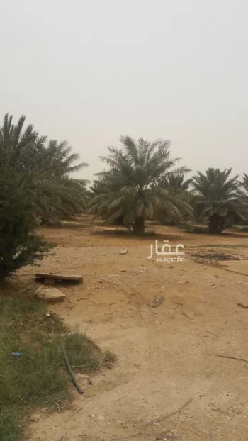 مزرعة للبيع في شارع عبدالله بن عبدالعزيز ، الخطامة ، المجمعة