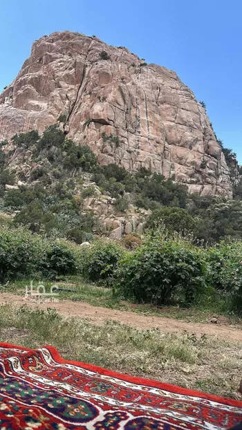 أرض للبيع في شارع الحرين 2 ، حرجل ، الطائف صورة 2