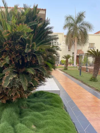 فيلا للإيجار في شارع ضروب المعرفه, حي الخالدية, مدينة جدة, منطقة مكة المكرمة صورة 2