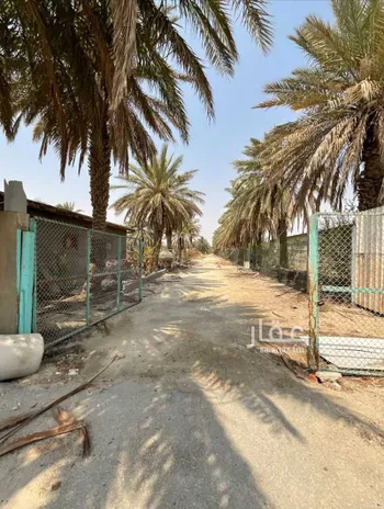 أرض للإيجار في شارع الفيحاء 10, حي الفيحاء, مدينة القطيف, المنطقة الشرقية صورة 2