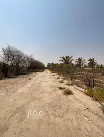 أرض للإيجار في شارع الفيحاء 10, حي الفيحاء, مدينة القطيف, المنطقة الشرقية صورة 4