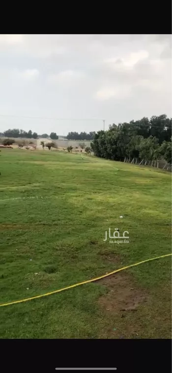 استراحة للبيع في شارع الفقهاء, حي الفقهاء, مدينة جازان, منطقة جازان صورة 3